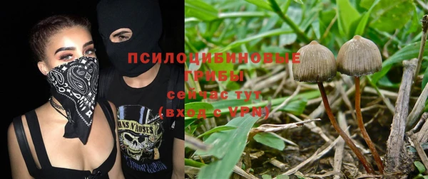 Альфа ПВП Саяногорск